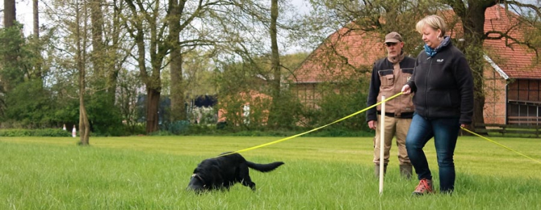 Field Trail - Ein sinnvoller Spaß für Hund und Halter