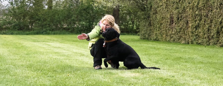 Field Trail - Ein sinnvoller Spaß für Hund und Halter