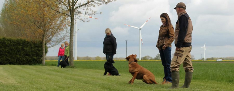 Field Trail - Ein sinnvoller Spaß für Hund und Halter